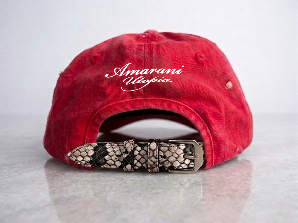 Phoenix Sky NY Cap ￼