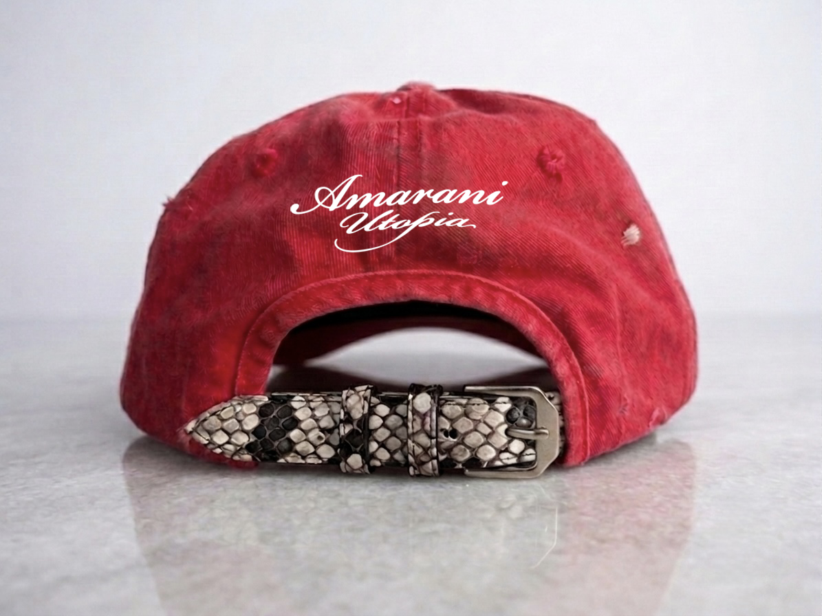 Phoenix Sky NY Cap ￼